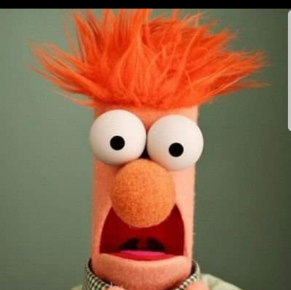 Meet your Posher, Jogie - Picture 1 of 1